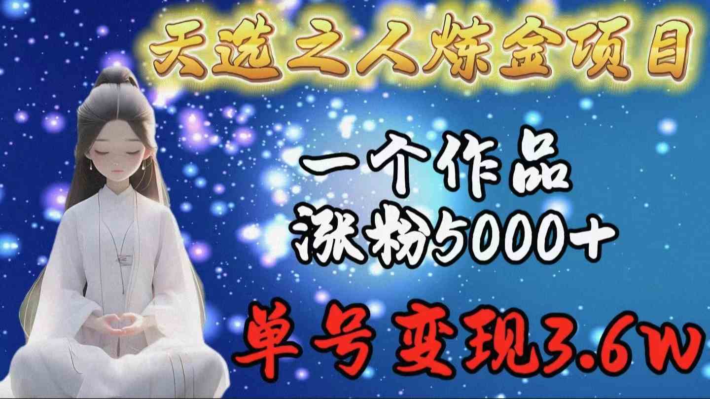 （9693期）老天爷赏饭吃的炼金项目，一个视频涨粉5000多，一个号赚了3.6万-安索博客网