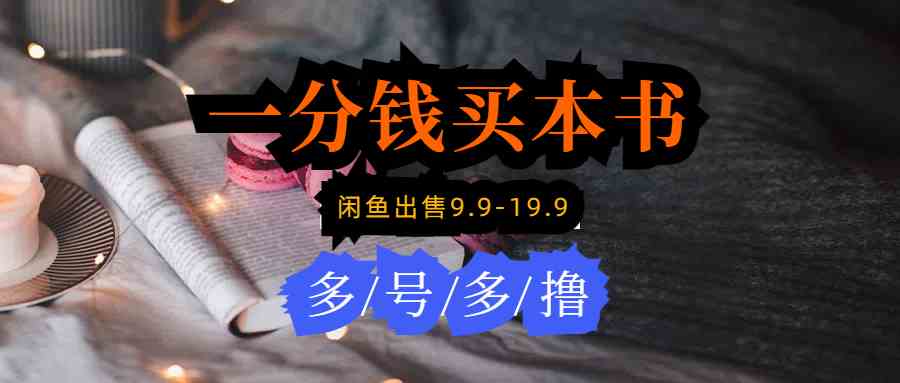 每天花1分钱买本书，转手闲鱼卖9.9-19.9，多账号操作轻松赚，新手也能玩-安索博客网