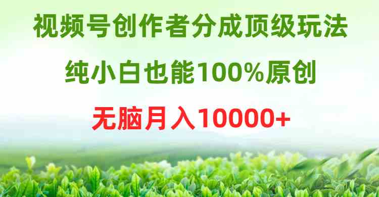视频号创作者分成新玩法，小白也能轻松上手，月入过万不是梦！-安索博客网