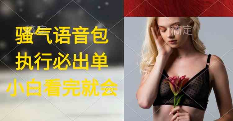 执行就出单，日入2000+！超火骚气语音包，小白看完就能上手-安索博客网