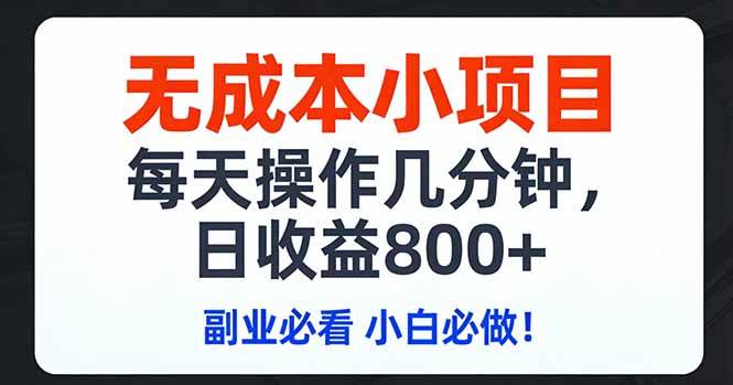 零投入小项目，每天几分钟就能赚800+，副业新手必看！-安索博客网