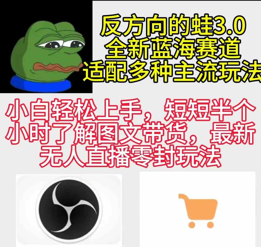反方向的蛙3.0：图文新玩法，变现路子多，小白也能轻松上手-安索博客网