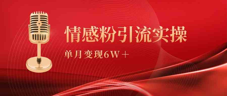 单月赚6万+，情感粉引流变现实操课，手把手教你搞钱-安索博客网