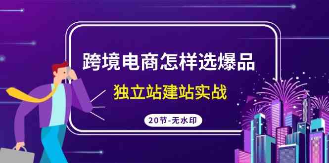 跨境电商咋挑爆款？独立站建站实战课（20节超清无水印视频）-安索博客网