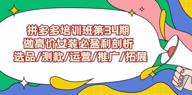 拼多多培训班第34期：做高价女装，怎么稳赚不赔？选品/测款/运营/推广/复制全搞定-安索博客网