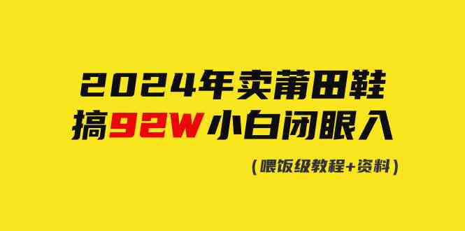 （9329期）2024年卖莆田鞋，赚了92W，小白也能直接上手！-安索博客网