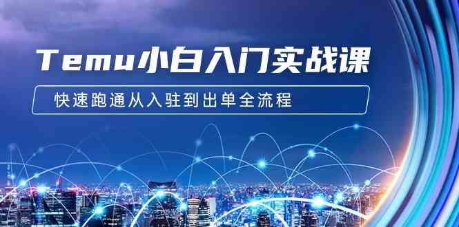 Temu小白速成课：跨境拼多多怎么玩？从开店到出单，12节课全搞定-安索博客网