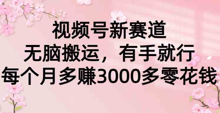 （9278期）视频号新玩法，简单搬运，轻松搞定，每月多赚3000零花钱-安索博客网