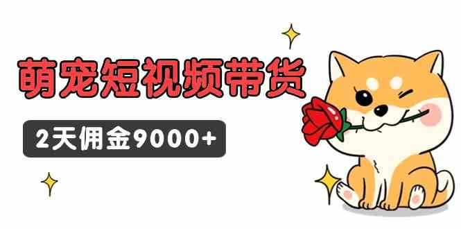 （9273期）东哲日记·萌宠短视频带货，2天赚了9000多块-安索博客网