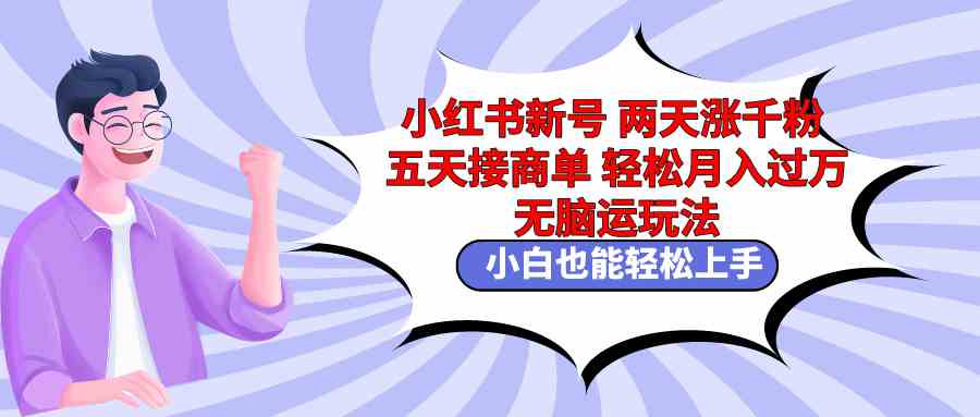 小红书新号两天涨粉一千，五天接广告？这波“无脑搬运”操作，小白也能轻松搞钱！-安索博客网