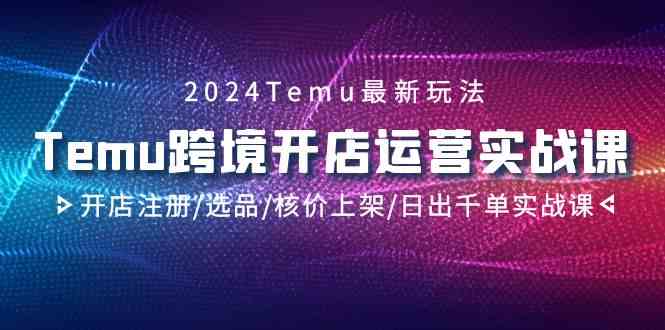 2024 Temu跨境开店运营实战课，手把手教你从开店注册到日出千单-安索博客网