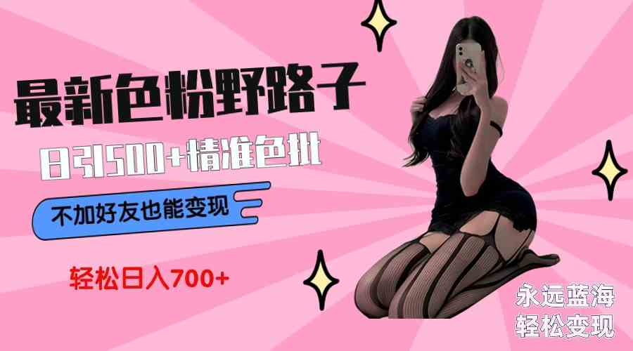 色粉搞钱新路子，一天引500+老色批，不加好友也能赚，小白轻松日入700+-安索博客网