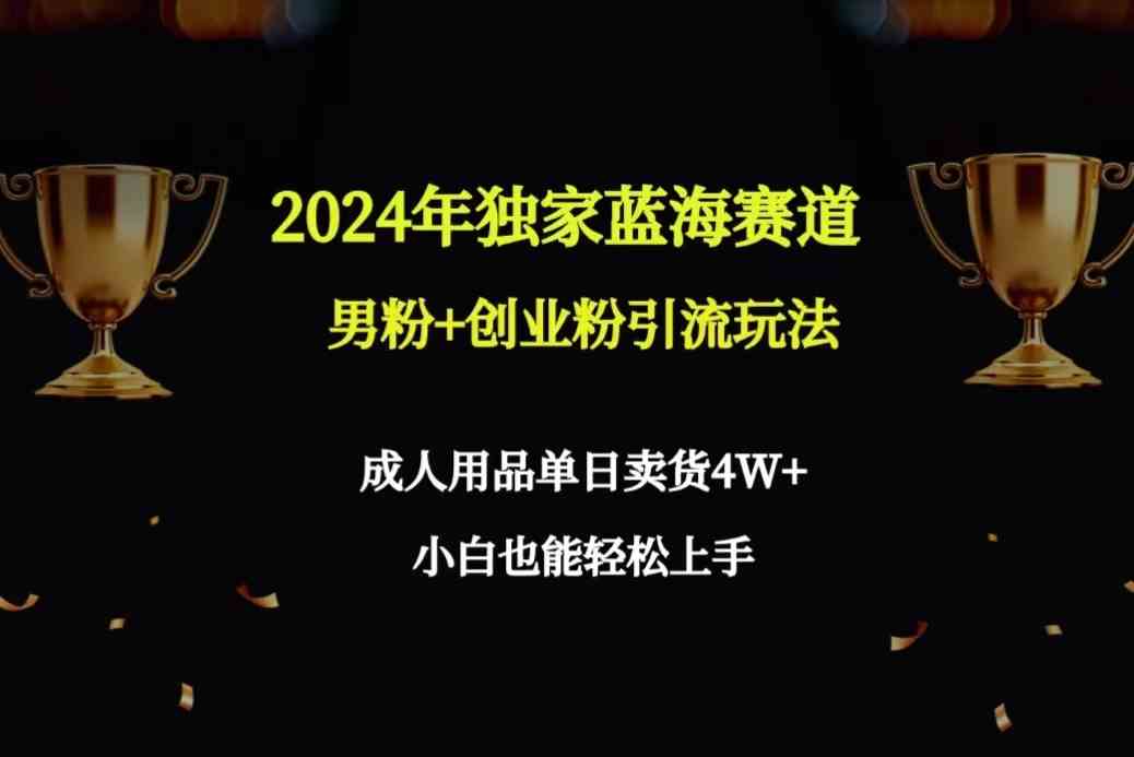 （9111期）2024年超冷门路子：男粉+创业粉引流秘籍，成人用品一天卖出4W+，手把手教学-安索博客网