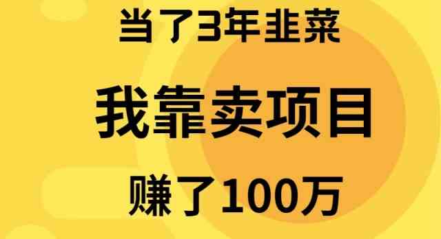 （9100期）当韭菜3年后，我靠卖项目搞了100万-安索博客网