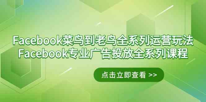 （9065期）Facebook 从菜鸟变老鸟的完整运营攻略 + 专业广告投放全系列课程-安索博客网
