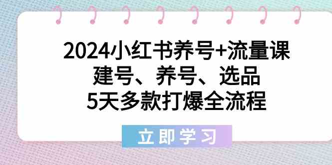 （8974期）2024小红书养号+流量课：搞定建号、养号、选品，5天多款打爆全流程-安索博客网