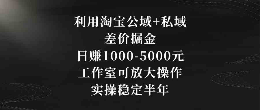 淘宝公域+私域差价赚钱，日赚1000-5000元，工作室也能放大搞-安索博客网