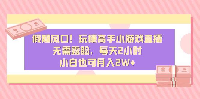 假期捞金新玩法！不露脸，每天2小时，轻松月入2万+-安索博客网