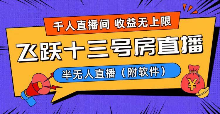 （8711期）爆火“飞跃十三号房”半无人直播玩法，一场直播上千人围观，日入过万不是梦！（附软件）-安索博客网