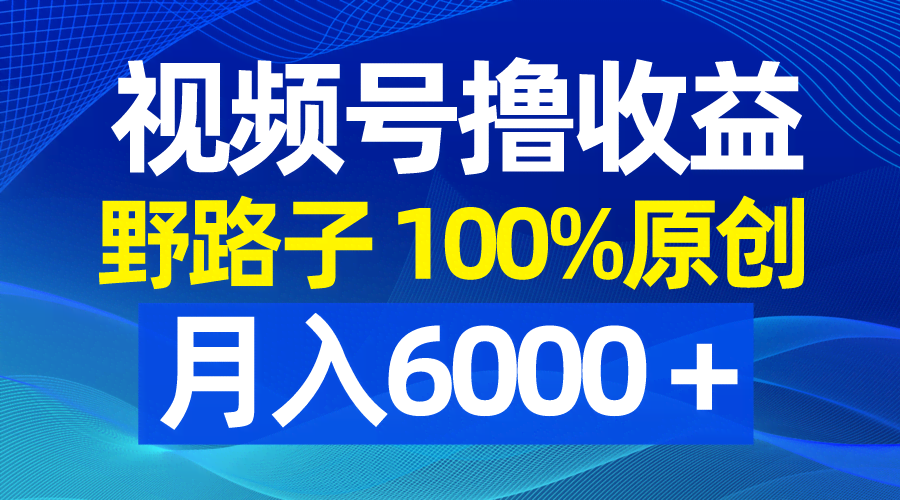 （8679期）视频号野路子搞钱，纯原创，条条爆款，月入6000+-安索博客网