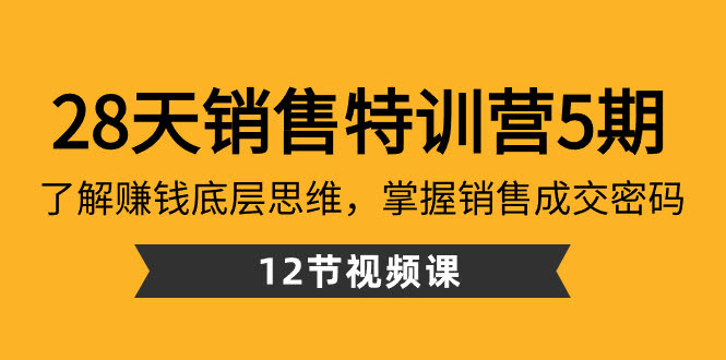 28天销售特训营第5期：搞懂赚钱逻辑，掌握成交密码（12节课）-安索博客网