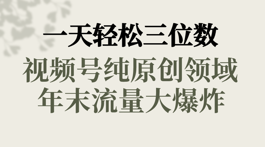 （第8647期）一天轻松赚三位数，视频号纯原创新玩法，春节送祝福，年末流量爆棚-安索博客网
