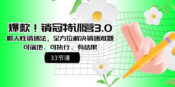 爆款！销冠特训营3.0之顺人性销售法，搞定所有销售难题，学了就能用-安索博客网