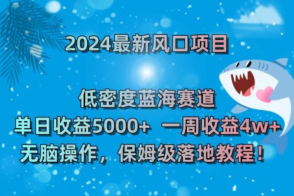 2024最新风口项目：低密度蓝海赛道，日赚5000+，周入4w+！简单操作，稳了！-安索博客网