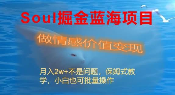 Soul掘金新玩法：情感价值变现，月入2万+不是梦-安索博客网
