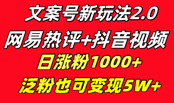 文案号新玩法：网易热评+抖音文案，一天涨粉1000+，多种变现路子，泛粉也能赚-安索博客网
