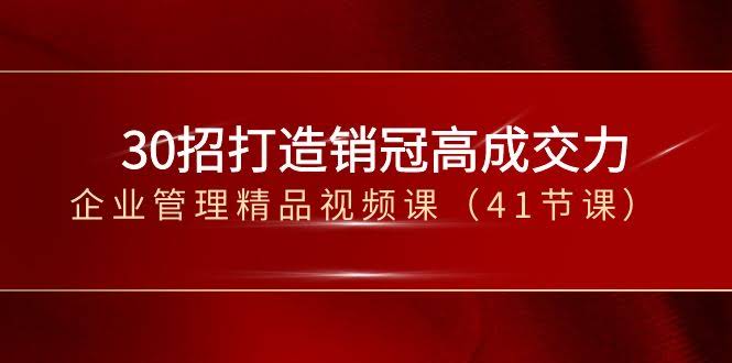 30招打造销冠，高成交力企业管理视频课（41节完整版）-安索博客网