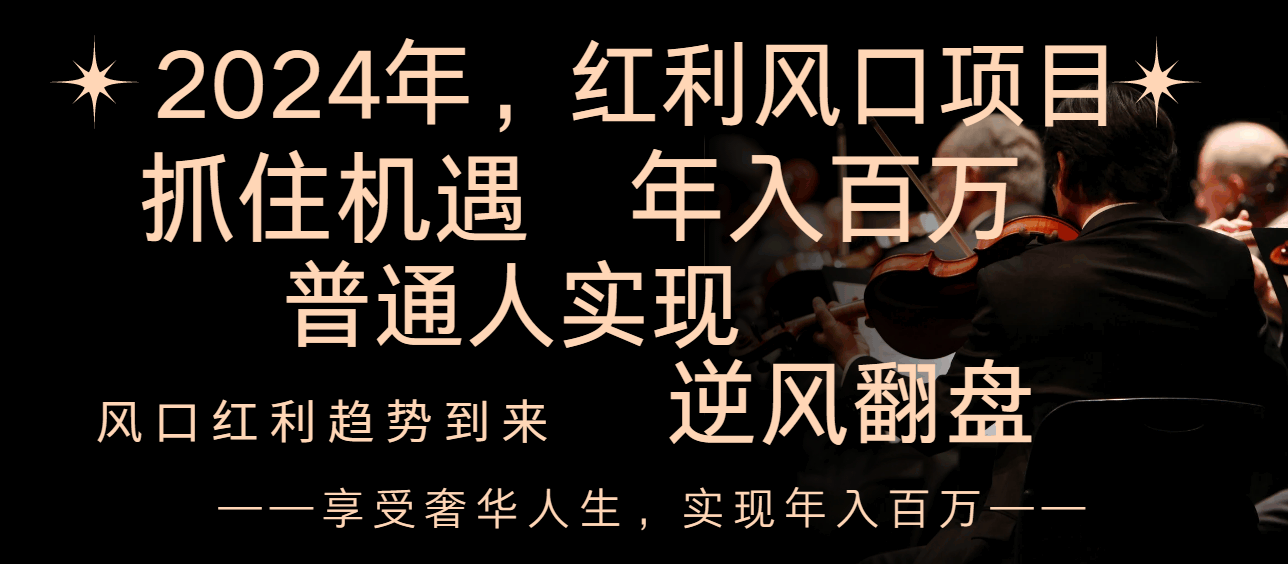 2024年红利风口项目来了！普通人也能翻盘，年入百万不是梦-安索博客网