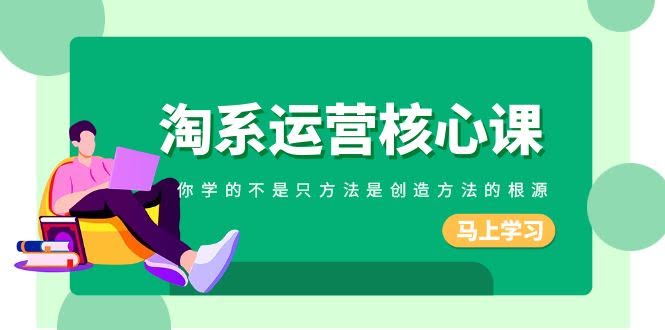 淘系运营核心课：190节干货，教你学会创造方法，不只是死记硬套（第8392期）-安索博客网