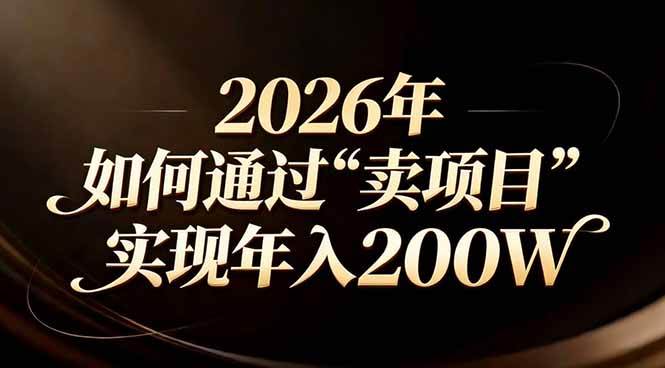 （17309期）站在2026年的路口：一个普通人怎么靠卖项目年入200万-安索博客网