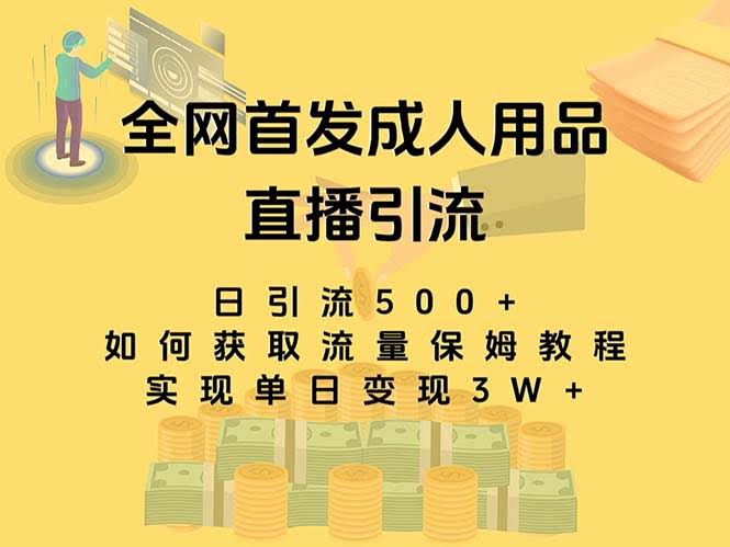 （8193期）全网独家首发！成人用品直播引流暴力玩法，单日变现3w保姆级教程-安索博客网