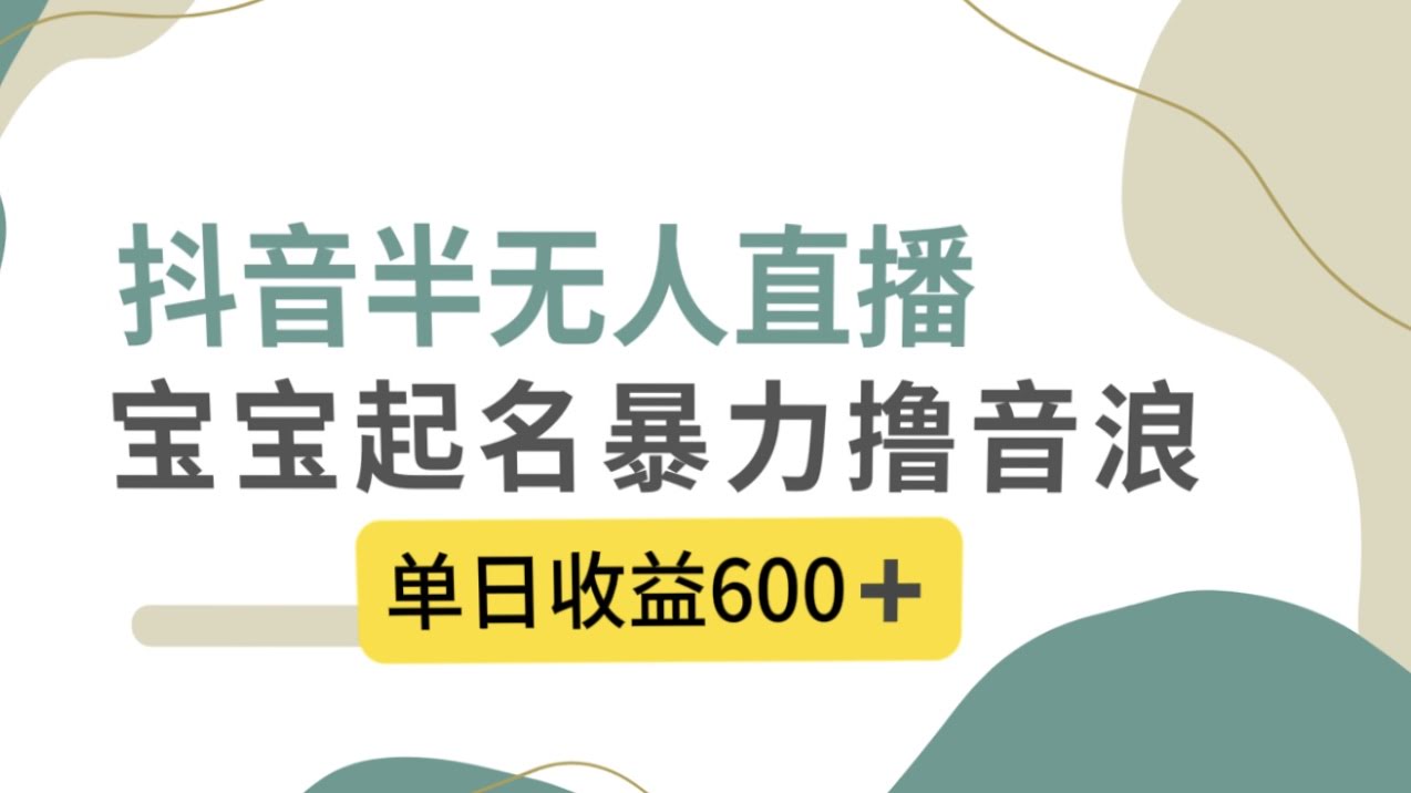 （8192期）抖音半无人直播，给宝宝起名，轻松赚音浪，一天600+-安索博客网
