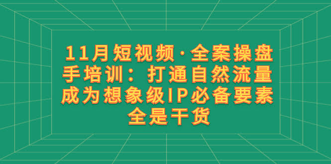 11月短视频全案操盘手培训：手把手教你玩转自然流量，变身想象级IP，全是干货不废话-安索博客网
