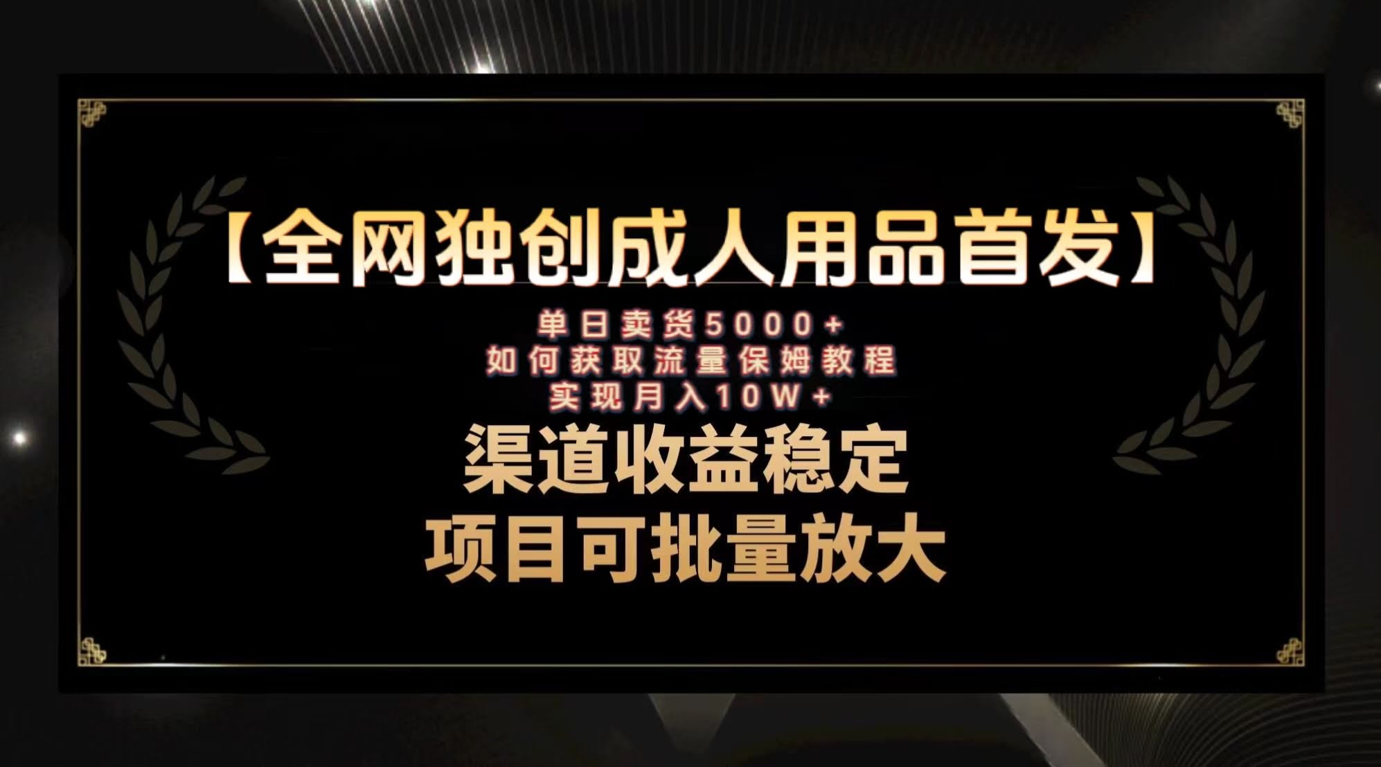 全网独家首发！成人用品赛道搞钱秘籍，月入10万保姆级教程-安索博客网