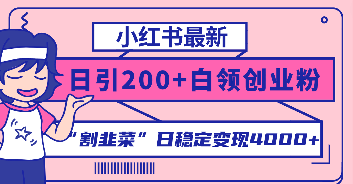 （8052期）小红书日引200+创业粉，割韭菜也能日赚4000+！手把手教你实操-安索博客网