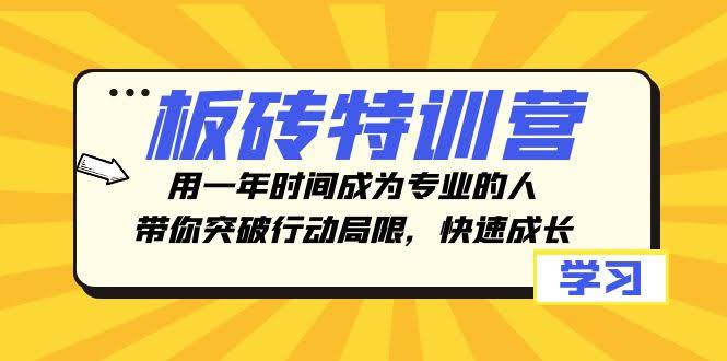 （8048期）板砖特训营，一年带你从新手变大神，搞定行动力，快速成长-安索博客网