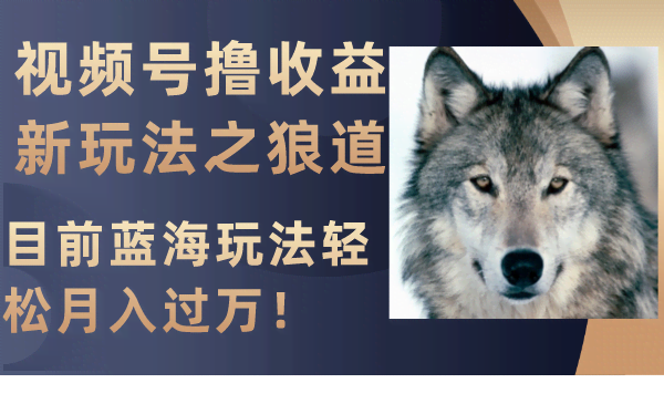 视频号撸收益新玩法：狼道文化，现在做还来得及，轻松月入过万！-安索博客网