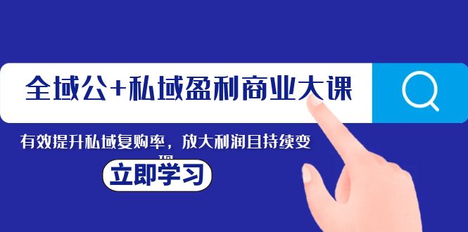 私域赚钱大课：搞定公域引流 + 私域复购，让利润翻倍还能持续变现-安索博客网