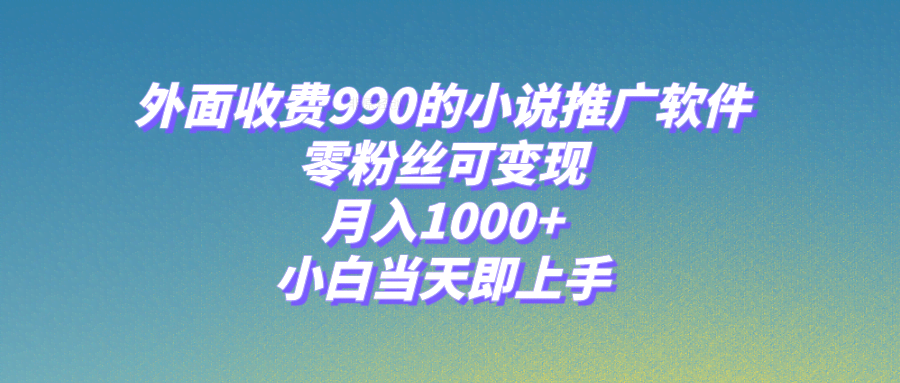 小说推广新玩法，零粉丝也能赚！月入1000+，小白当天就能上手【附189G素材】-安索博客网