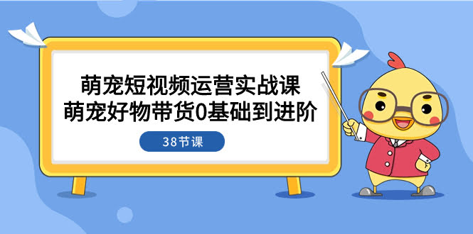 萌宠短视频带货实战课：从零开始玩转萌宠好物（38节课）-安索博客网