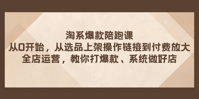 淘系爆款陪跑课：从选品到付费放大，手把手教你打造爆款店铺-安索博客网