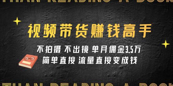 视频带货赚钱高手课：不拍视频、不露脸，月入3.5万佣金，流量轻松变现-安索博客网