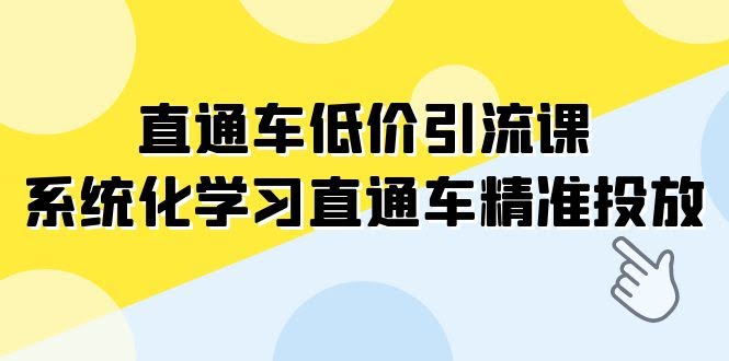 （7698期）直通车-低价引流课，手把手教你系统搞定直通车精准投放（14节课）-安索博客网