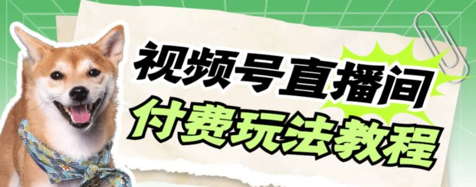 视频号美女付费无人直播，轻轻松松日入500+【保姆级教程】-安索博客网
