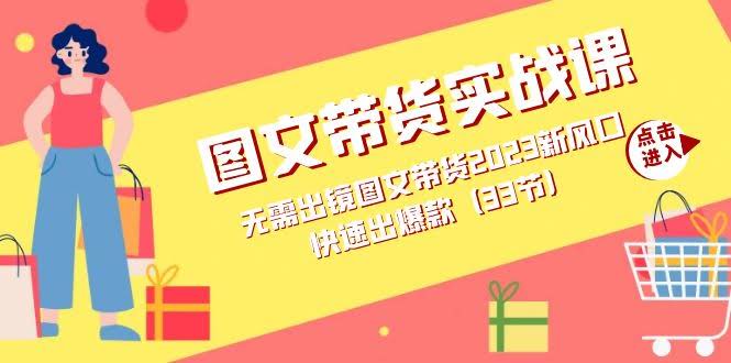 （7496期）图文带货实战课：不用露脸也能玩转图文带货，2023新风口，快速出爆款（33节）-安索博客网