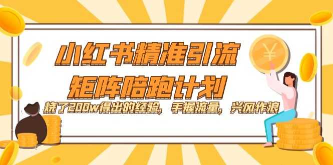 小红书精准引流·矩阵陪跑计划：烧了200万总结的干货，抓稳流量就能嗨起来！-安索博客网